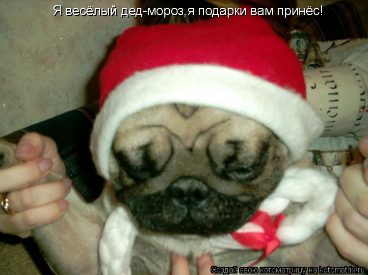 Я весёлый дед-мороз,я подарки вам принёс!... Котоматрица: Я весёлый дед-мороз,я подарки вам принёс!