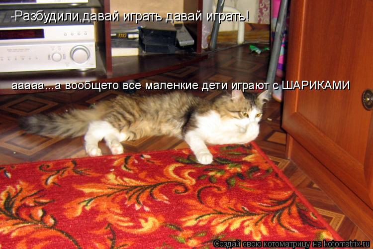 Котоматрица: -Разбудили,давай играть давай играть! ааааа...а вообщето все маленкие дети играют с ШАРИКАМИ