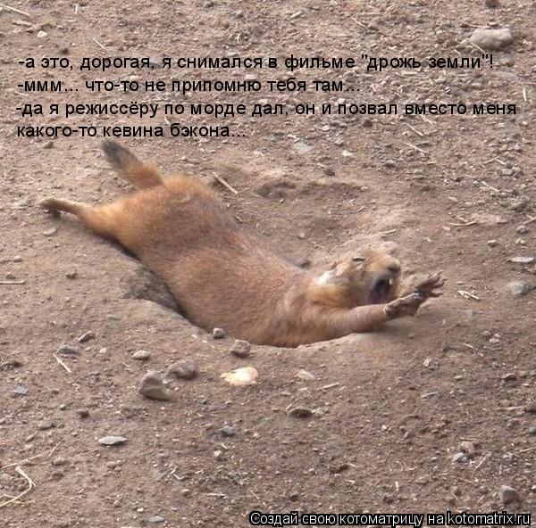 Котоматрица: -а это, дорогая, я снимался в фильме "дрожь земли"! -ммм... что-то не припомню тебя там... -да я режиссёру по морде дал, он и позвал вместо меня как