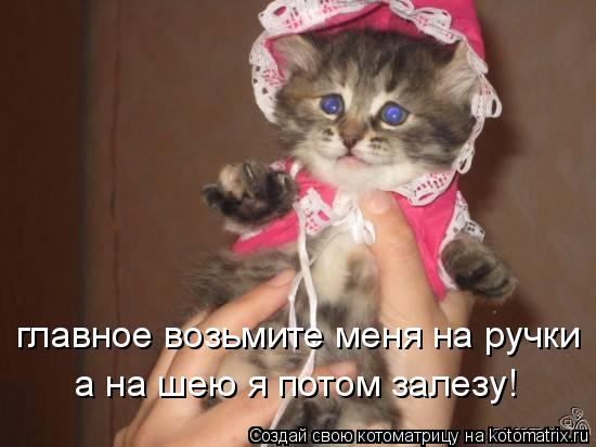 главное возьмите меня на ручки а на шею я потом залезу!... Котоматрица: главное возьмите меня на ручки а на шею я потом залезу!