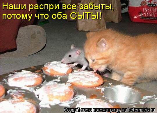 Наши распри все забыты, потому что оба СЫТЫ!... Котоматрица: Наши распри все забыты, потому что оба СЫТЫ!
