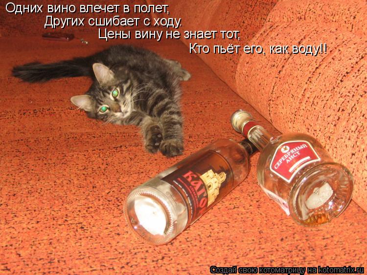 Котоматрица: Одних вино влечет в полет, Других сшибает с ходу. Цены вину не знает тот, Кто пьёт его, как воду!!
