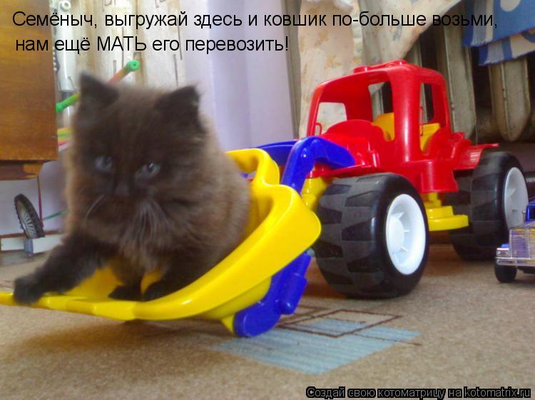 Котоматрица: Семёныч, выгружай здесь и ковшик по-больше возьми, нам ещё МАТЬ его перевозить!