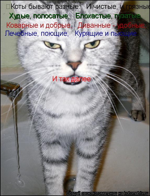 Котоматрица: Коты бывают разные:   И чистые, и грязные, Худые, полосатые,   Блохастые, пузатые, Коварные и добрые,   Диванные - удобные, Лечебные, поющие,   Кур