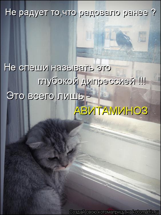 Котоматрица: Не радует то,что радовало ранее ? Не спеши называть это  глубокой дипрессией !!! Это всего лишь - АВИТАМИНОЗ