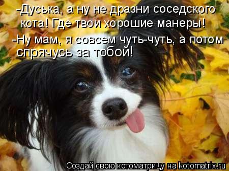 Котоматрица: -Дуська, а ну не дразни соседского  кота! Где твои хорошие манеры!  -Ну мам, я совсем чуть-чуть, а потом  спрячусь за тобой!