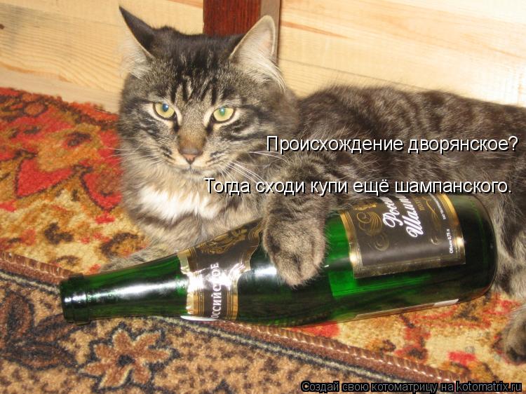Котоматрица: Происхождение дворянское?  Тогда сходи купи ещё шампанского…