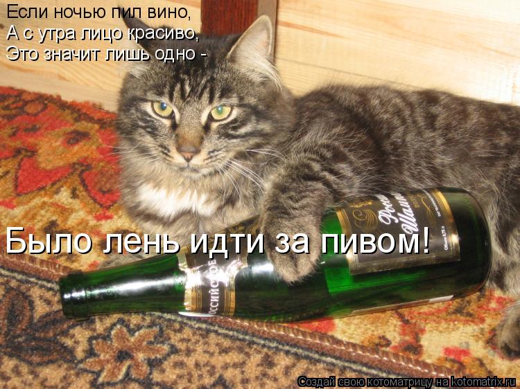 Котоматрица: Если ночью пил вино, А с утра лицо красиво, Это значит лишь одно - Было лень идти за пивом!