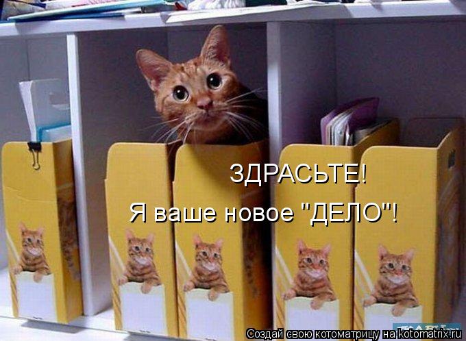 ЗДРАСЬТЕ! Я ваше новое "ДЕЛО"!... Котоматрица: ЗДРАСЬТЕ! Я ваше новое "ДЕЛО"!
