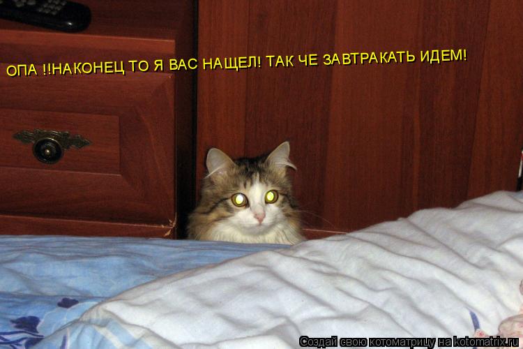 ОПА !!НАКОНЕЦ ТО Я ВАС НАЩЕЛ! ТАК ЧЕ ЗАВТРАКАТЬ ИДЕМ!... Котоматрица: ОПА !!НАКОНЕЦ ТО Я ВАС НАЩЕЛ! ТАК ЧЕ ЗАВТРАКАТЬ ИДЕМ!