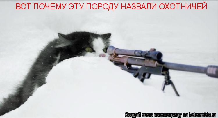 Котоматрица: ВОТ ПОЧЕМУ ЭТУ ПОРОДУ НАЗВАЛИ ОХОТНИЧЕЙ