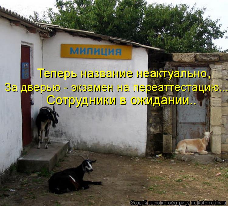 Котоматрица: Теперь название неактуально, За дверью - экзамен на переаттестацию... Сотрудники в ожидании..