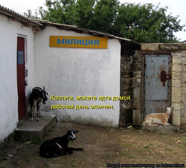 Котоматрица: Коллеги, можете идти домой, рабочий день окончен.