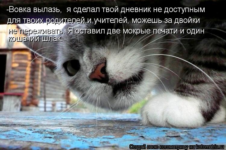 Котоматрица: -Вовка вылазь,  я сделал твой дневник не доступным для твоих родителей и учителей, можешь за двойки  не переживать. Я оставил две мокрые печа