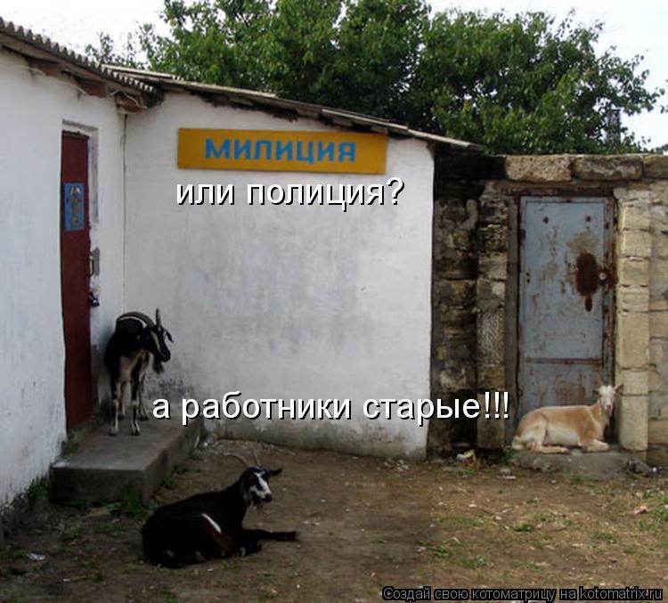 Котоматрица: или полиция? а работники старые!!!