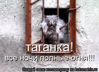 Котоматрица: таганка! все ночи полные огня!!!