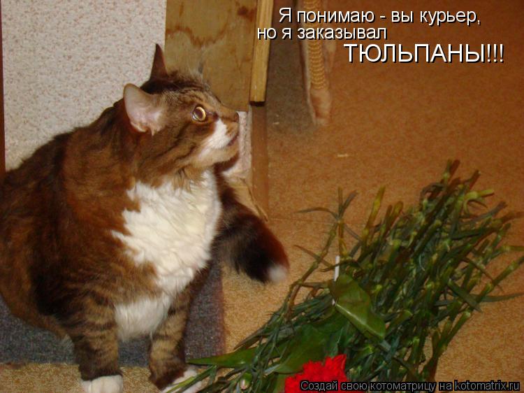 Котоматрица: Я понимаю - вы курьер, но я заказывал ТЮЛЬПАНЫ!!!