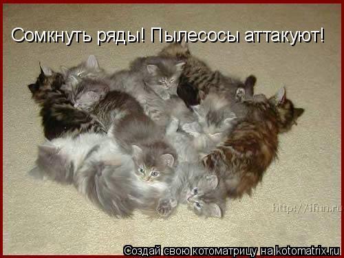 Котоматрица: Сомкнуть ряды! Пылесосы аттакуют!