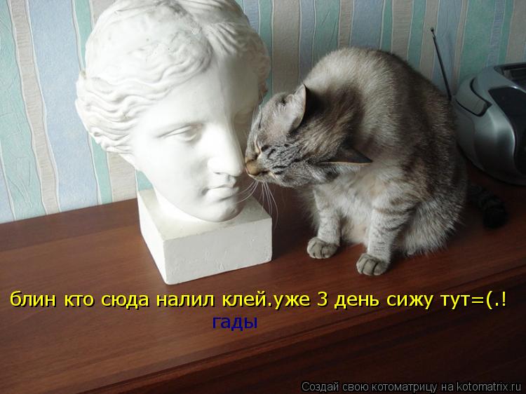 гады блин кто сюда налил клей.уже 3 день сижу тут=(.!... Котоматрица: гады блин кто сюда налил клей.уже 3 день сижу тут=(.!