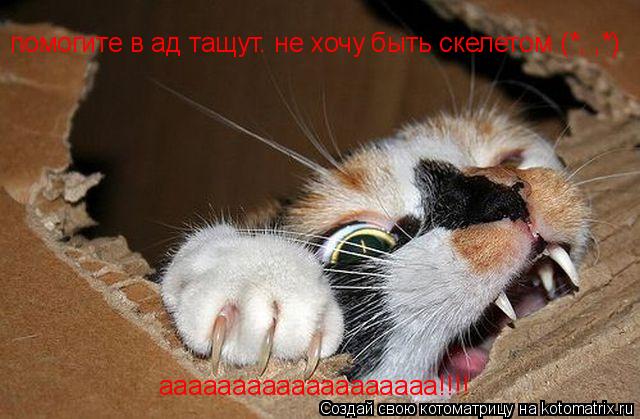 помогите в ад тащут. не хочу быть скелетом (*, ,*) ааааааааааааааааааа!!!!... Котоматрица: помогите в ад тащут. не хочу быть скелетом (*, ,*) ааааааааааааааааааа!!!!