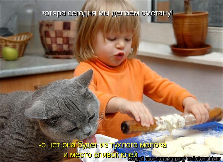 котяра сегодня мы делаем сметану! -о нет она будет из тухлого молока и место сливок клей... Котоматрица: котяра сегодня мы делаем сметану! -о нет она будет из тухлого молока и место сливок клей