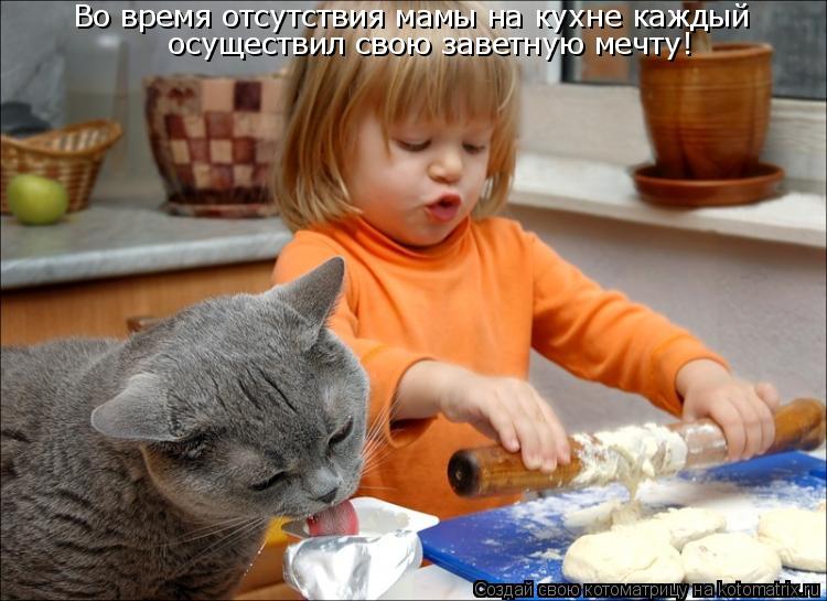 Котоматрица: Во время отсутствия мамы на кухне каждый  осуществил свою заветную мечту!