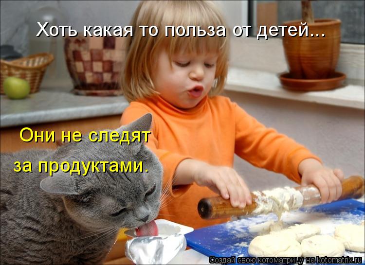 Котоматрица: Хоть какая то польза от детей... Они не следят за продуктами.