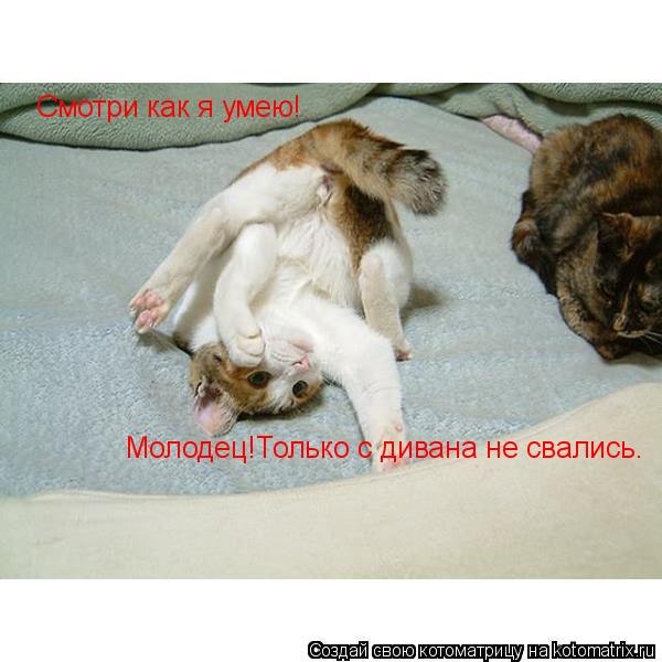 Смотри как я умею! Молодец!Только с дивана не свались.... Котоматрица: Смотри как я умею! Молодец!Только с дивана не свались.