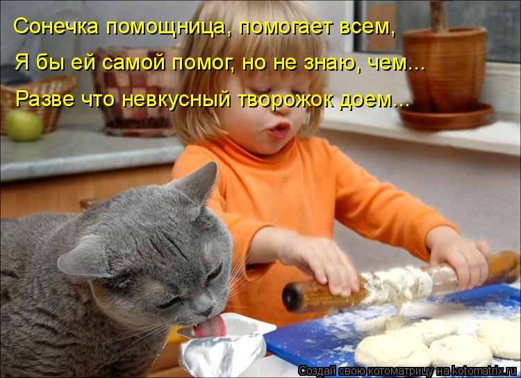 Сонечка помощница, помогает всем, Я бы ей самой помог, но не знаю, чем... Разве что невкусный творожо... Котоматрица: Сонечка помощница, помогает всем, Я бы ей самой помог, но не знаю, чем... Разве что невкусный творожок доем...