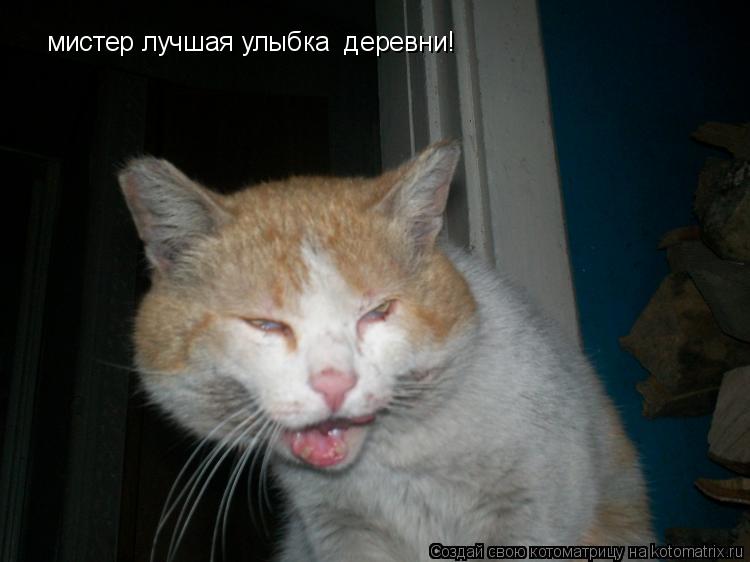 мистер лучшая улыбка деревни!... Котоматрица: мистер лучшая улыбка деревни!