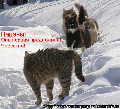 Пацаны!!!!!! Она первая предложила! Чееестно!... Котоматрица: Пацаны!!!!!! Она первая предложила! Чееестно!