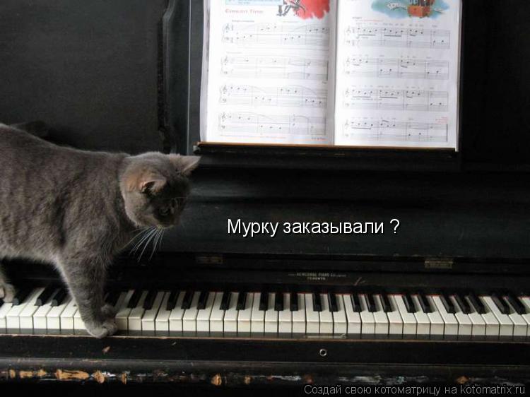 Мурку заказывали ?... Котоматрица: Мурку заказывали ?
