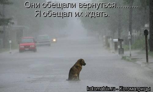 Котоматрица: Они обещали вернуться..........  Я обещал их ждать.