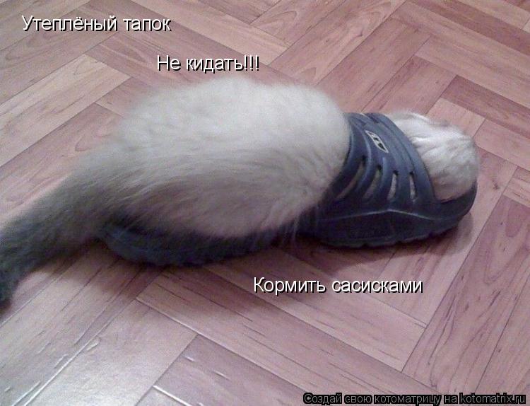 Котоматрица: Утеплёный тапок Не кидать!!! Кормить сасисками