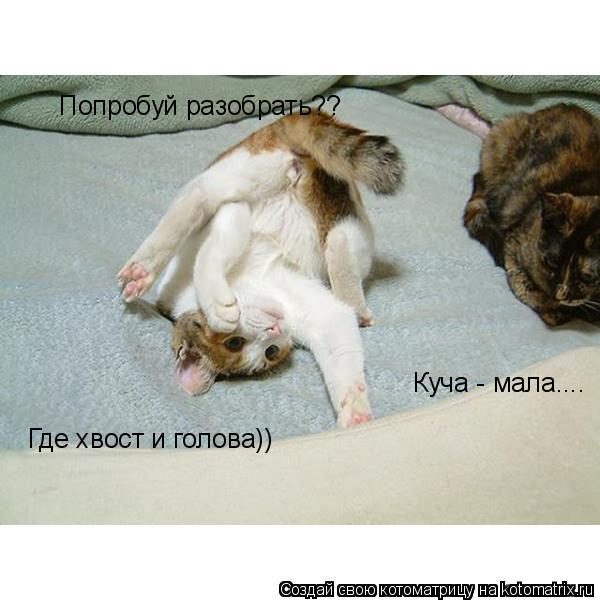 Котоматрица: Куча - мала....  Попробуй разобрать??  Где хвост и голова))