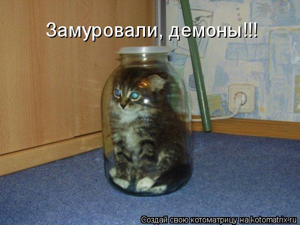 Котоматрица: Замуровали, демоны!!!