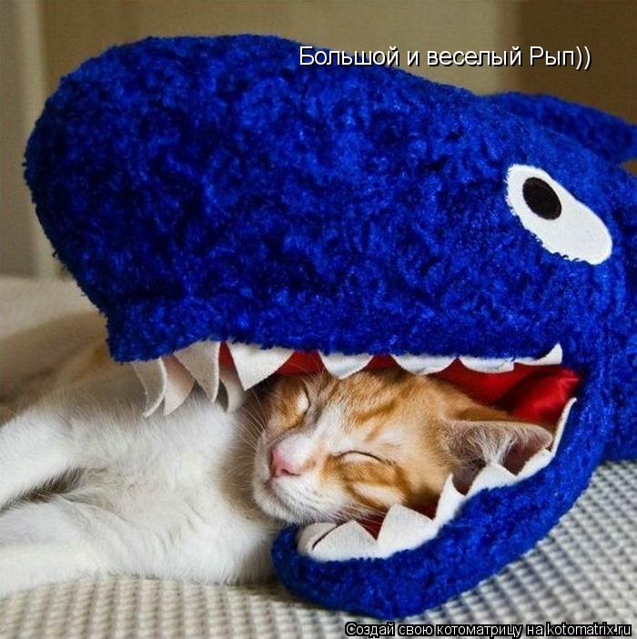 Котоматрица: Большой и веселый Рып))