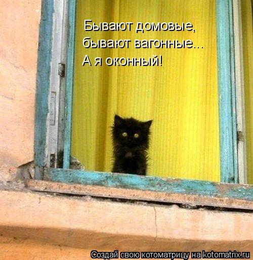 Котоматрица: Бывают домовые, бывают вагонные... А я оконный!