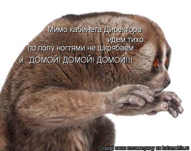 Мимо кабинета Директора идем тихо... по полу ногтями не шкрябаем... и...ДОМОЙ! ДОМОЙ! ДОМОЙ!!!... Котоматрица: Мимо кабинета Директора идем тихо... по полу ногтями не шкрябаем... и...ДОМОЙ! ДОМОЙ! ДОМОЙ!!!