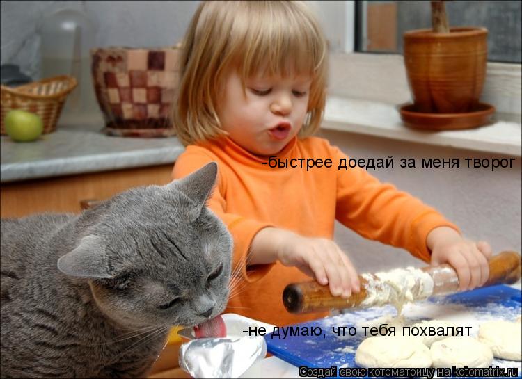 -не думаю, что тебя похвалят -быстрее доедай за меня творог... Котоматрица: -не думаю, что тебя похвалят -быстрее доедай за меня творог