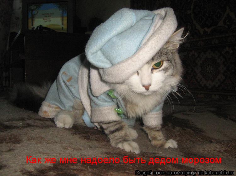 Как же мне надоело быть дедом морозом... Котоматрица: Как же мне надоело быть дедом морозом