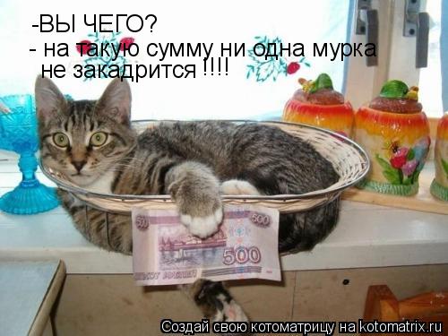 -ВЫ ЧЕГО? - на такую сумму ни одна мурка не закадрится !!!!... Котоматрица: -ВЫ ЧЕГО? - на такую сумму ни одна мурка не закадрится !!!!