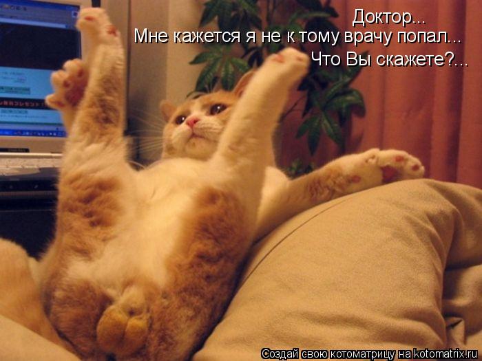 Доктор... Мне кажется я не к тому врачу попал... Что Вы скажете?...... Котоматрица: Доктор... Мне кажется я не к тому врачу попал... Что Вы скажете?...