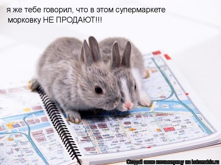 я же тебе говорил, что в этом супермаркете морковку НЕ ПРОДАЮТ!!!... Котоматрица: я же тебе говорил, что в этом супермаркете морковку НЕ ПРОДАЮТ!!!