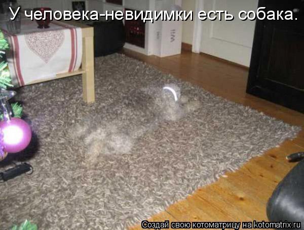 У человека-невидимки есть собака.... Котоматрица: У человека-невидимки есть собака.
