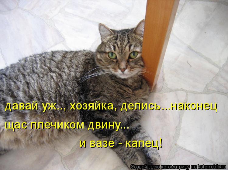 давай уж.., хозяйка, делись...наконец щас плечиком двину... и вазе - капец!... Котоматрица: давай уж.., хозяйка, делись...наконец щас плечиком двину... и вазе - капец!