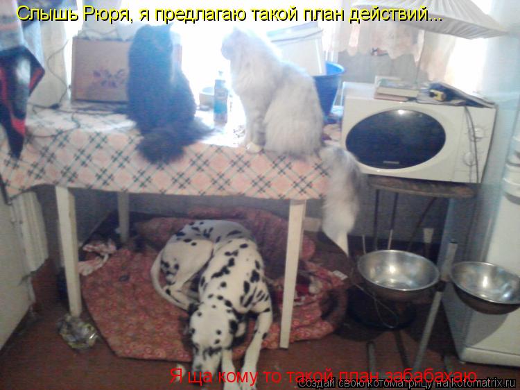 Слышь Рюря, я предлагаю такой план действий... Я ща кому то такой план забабахаю...... Котоматрица: Слышь Рюря, я предлагаю такой план действий... Я ща кому то такой план забабахаю...