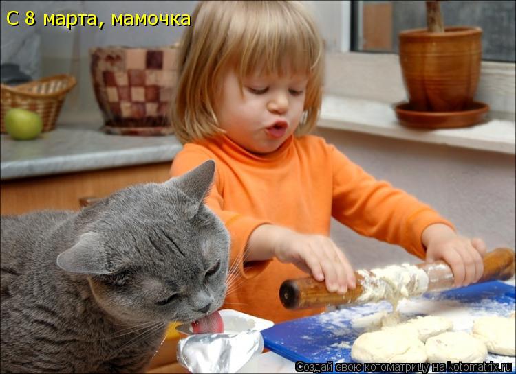С 8 марта, мамочка... Котоматрица: С 8 марта, мамочка