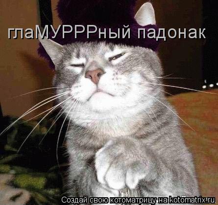 глаМУРРРный падонак... Котоматрица: глаМУРРРный падонак