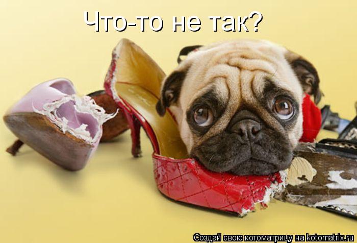 Что-то не так?... Котоматрица: Что-то не так?